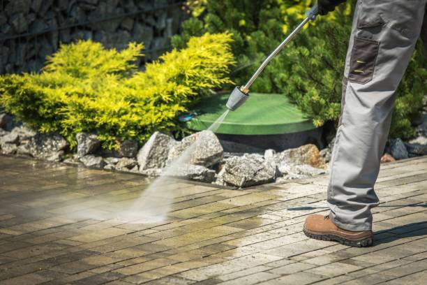 Best Driveway Pressure Washing  in , ND