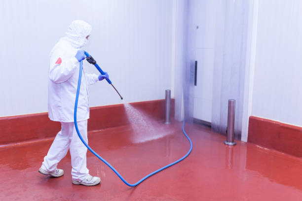 Best Restaurant Pressure Washing  in , ND